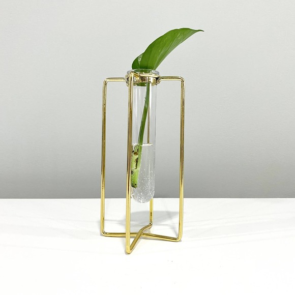 Glass Propagation Test Tube Stand With Gold Metal Accent - Picture 1 of 4